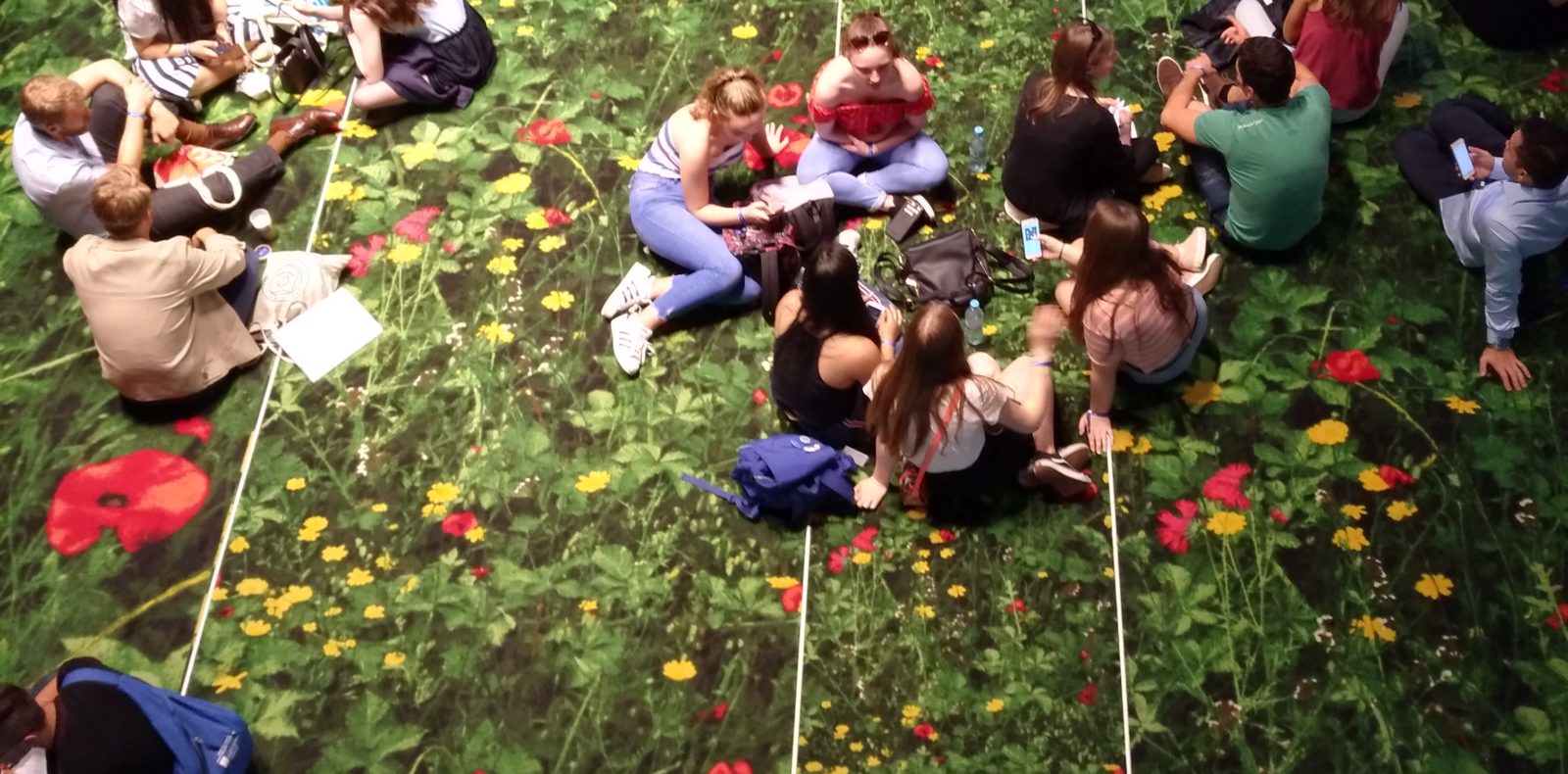 am Flowercarpet