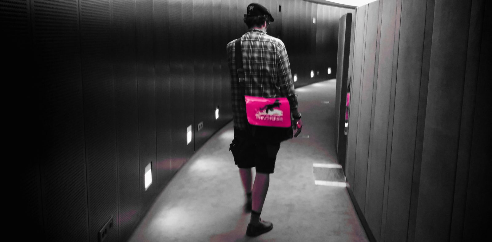 am Weg in den Hemicycle